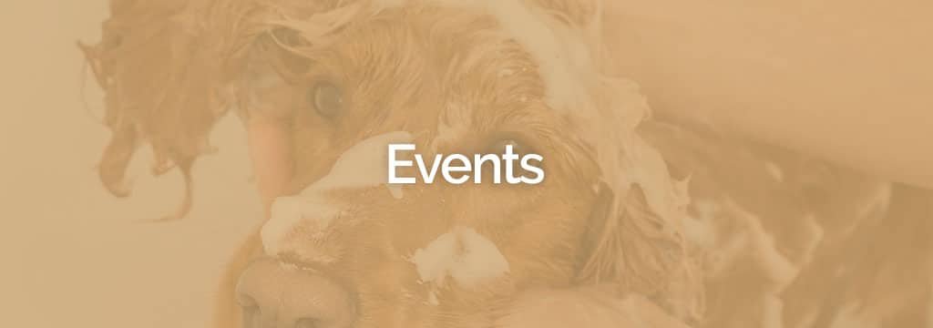 Testata blog events