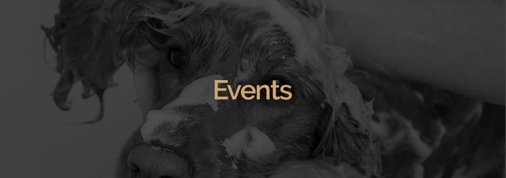 Testata blog events