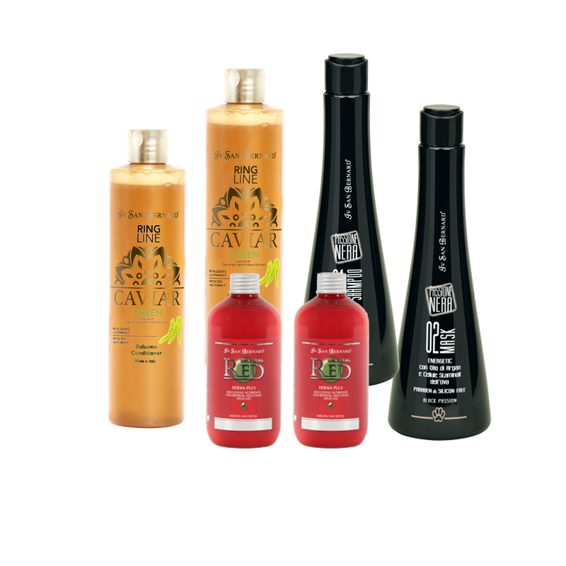 Luxury Starter Bundle