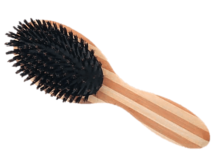 OVAL BAMBOO NATURAL BOAR'S HAIR POLISHING BRUSH 11 FILE