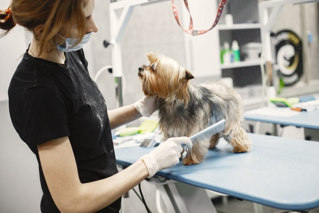 Professional groomer brushing a dog's coat to help prevent hot spots